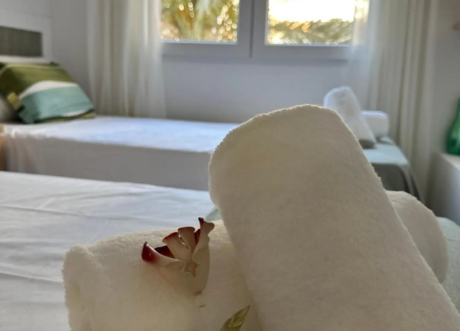 Apartamento Patio Victoria Málaga